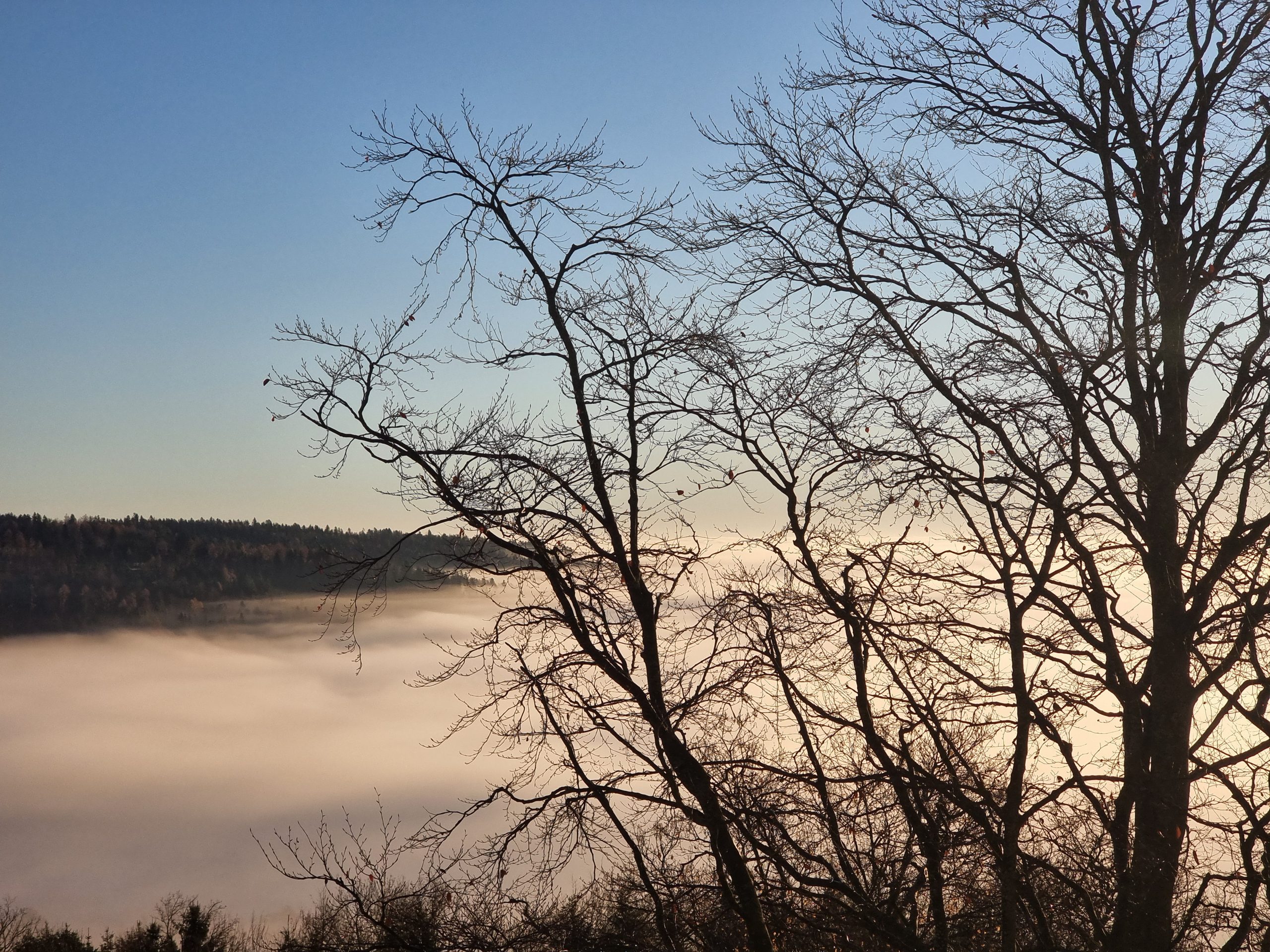 Ausblick aus meinem Zimmer während meiner Burn-Out-Reha in St. Radegund, wo ich diesen Text geschrieben habe.